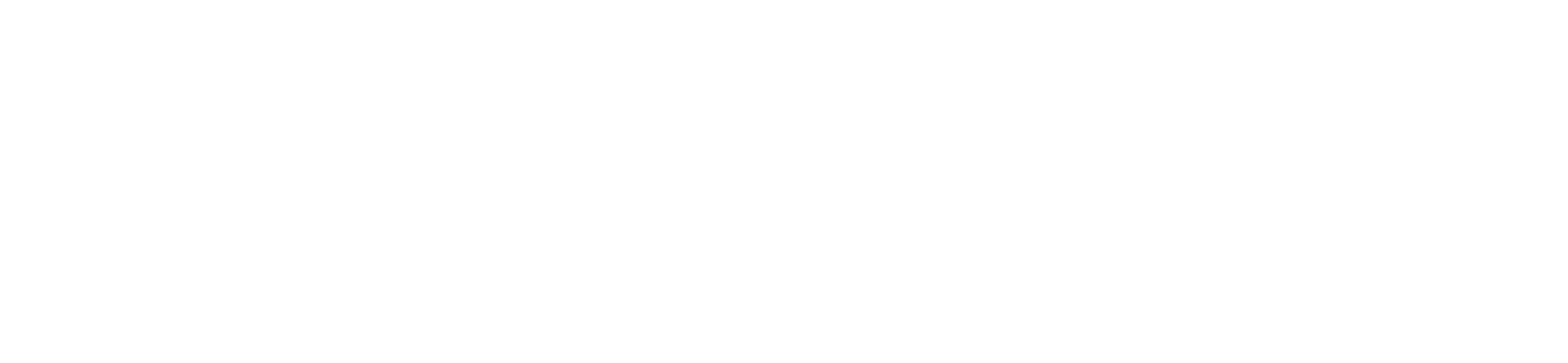 Screen Ireland 